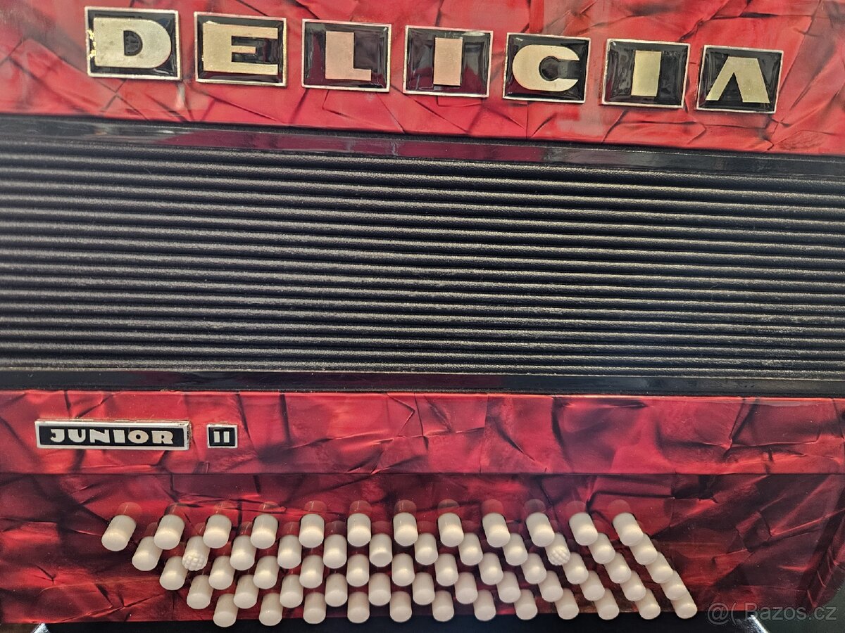 Akordeon Delicia Junior - 2