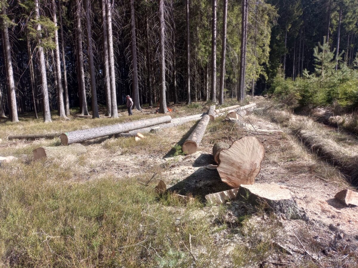 Práce s motorovou pilou - 2