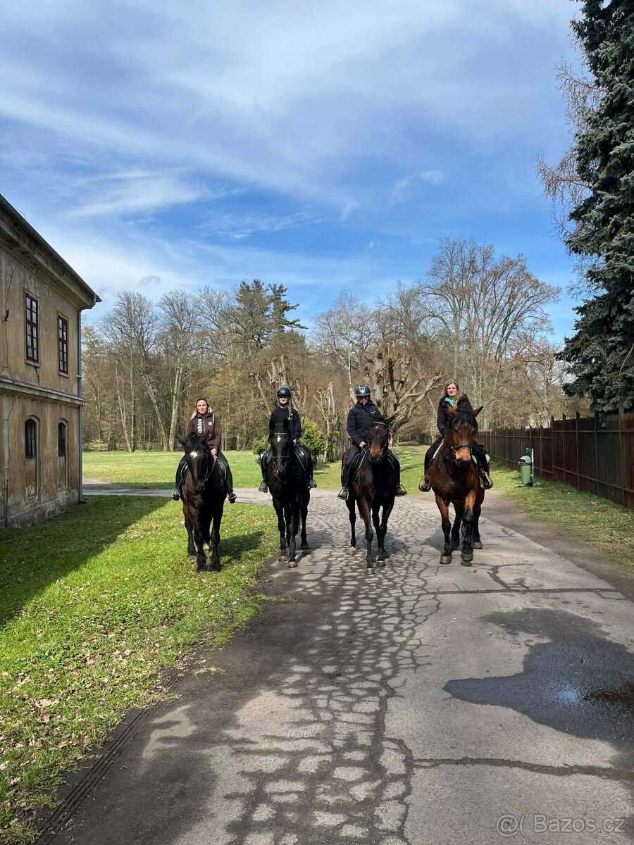 Ježdění - 2
