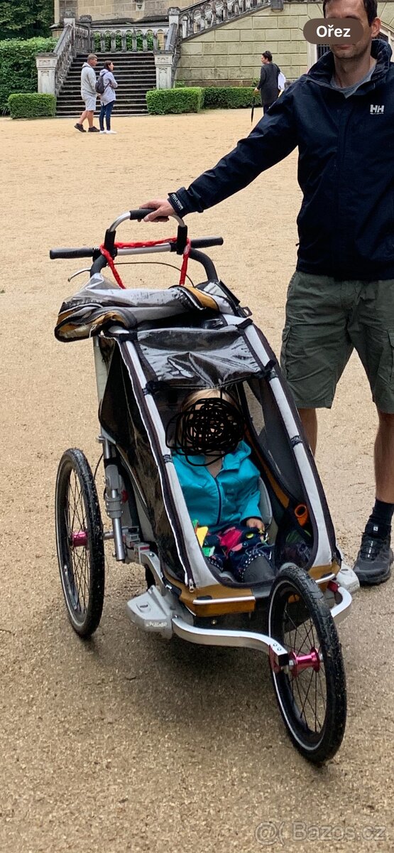 Thule Chariot - 2