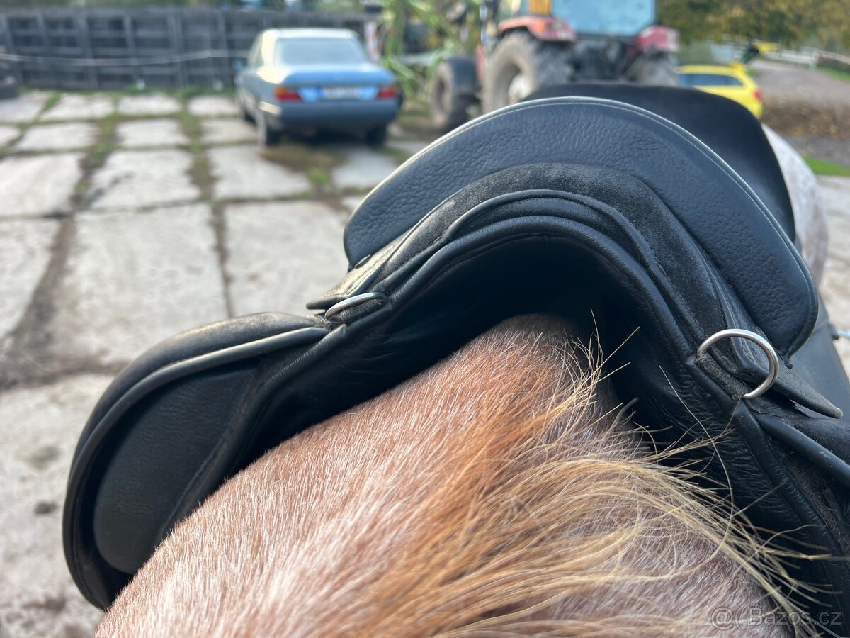 Sedlo Baloun Akademik M - F - 2