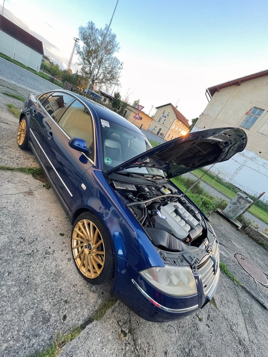 Passat B5.5 W8 - 2