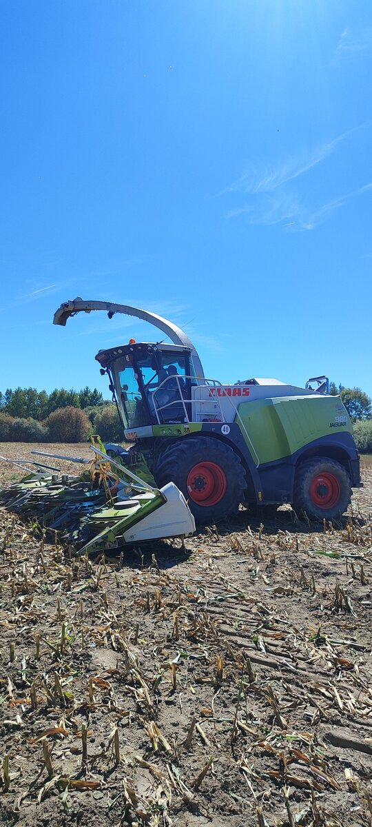 CLAAS JAGUAR 980 4x4 - 2