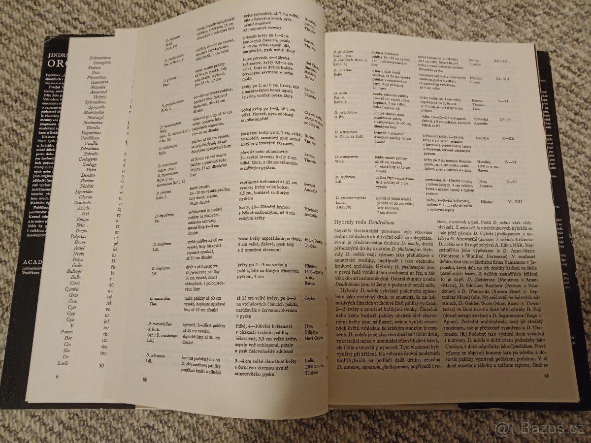 Orchideje - Dušek, Křístek - 2