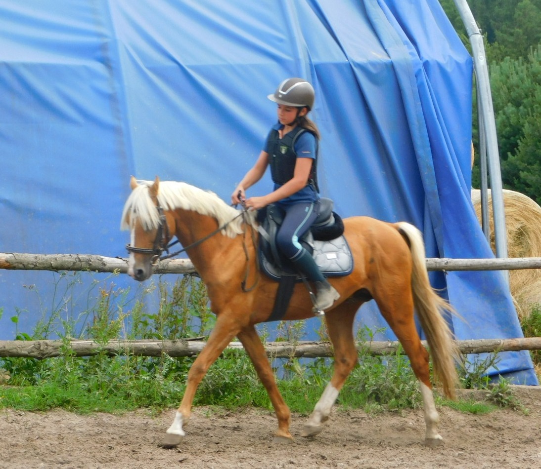 pony A do sportu - 2