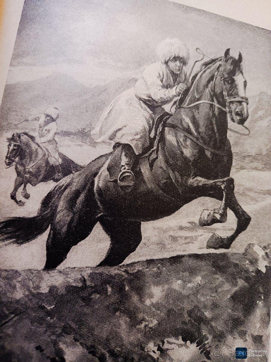 Kniha DŽAVACHOVSKÉ HNÍZDO L.A.ČARSKÁ rok vyd 1919, 219 Kč (9 - 2