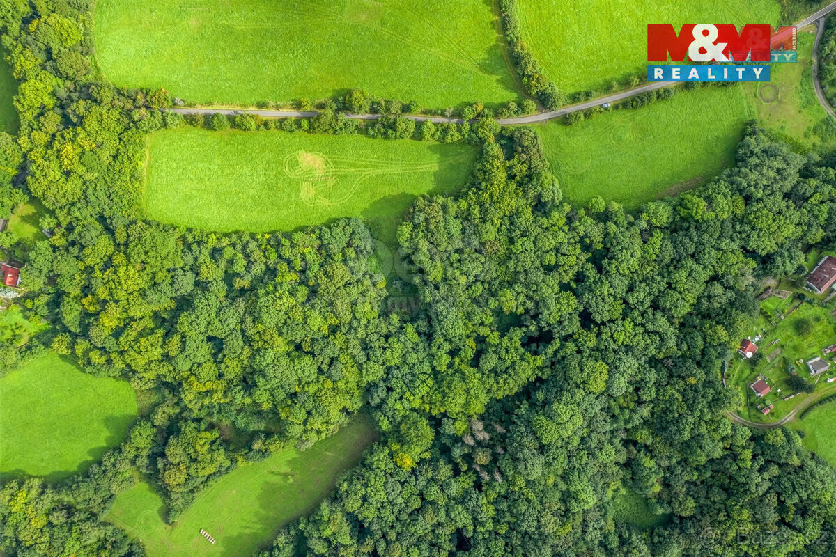 Prodej pastviny s lesním pozemkem 22.174 m² v Homoli u Panny - 2