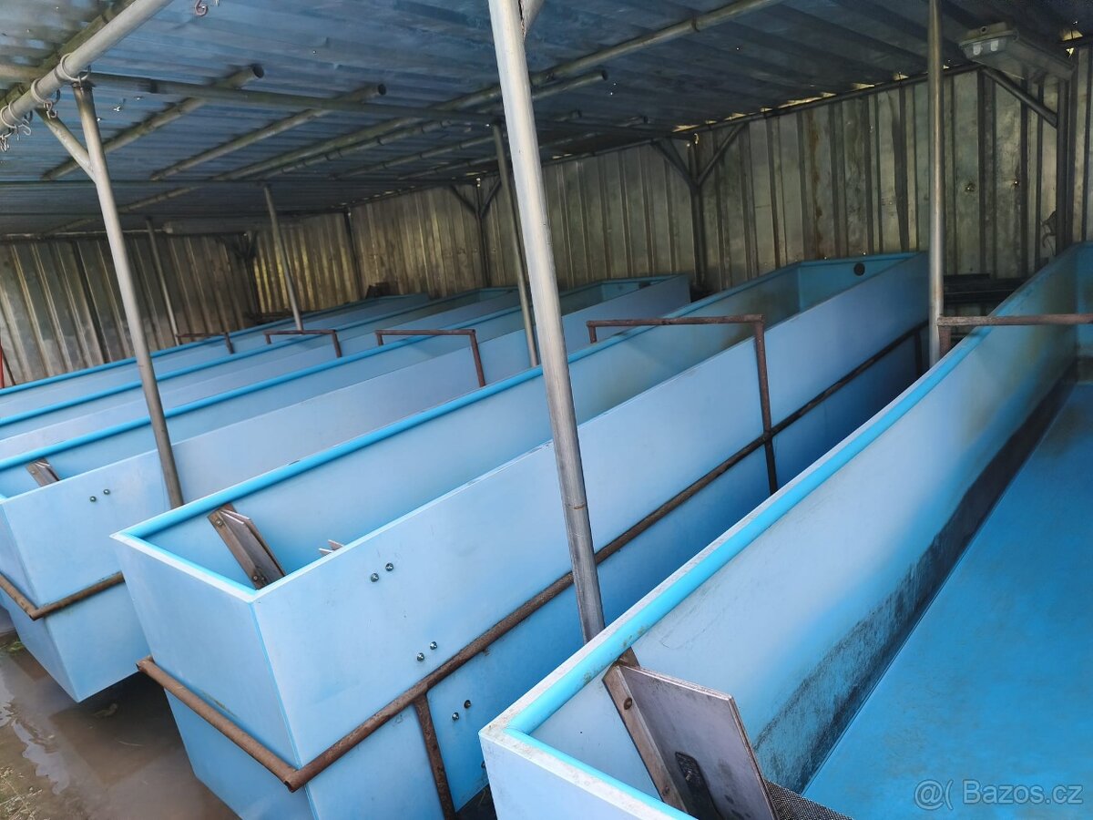 Prodám chovatelské žlaby pro ryby - 2