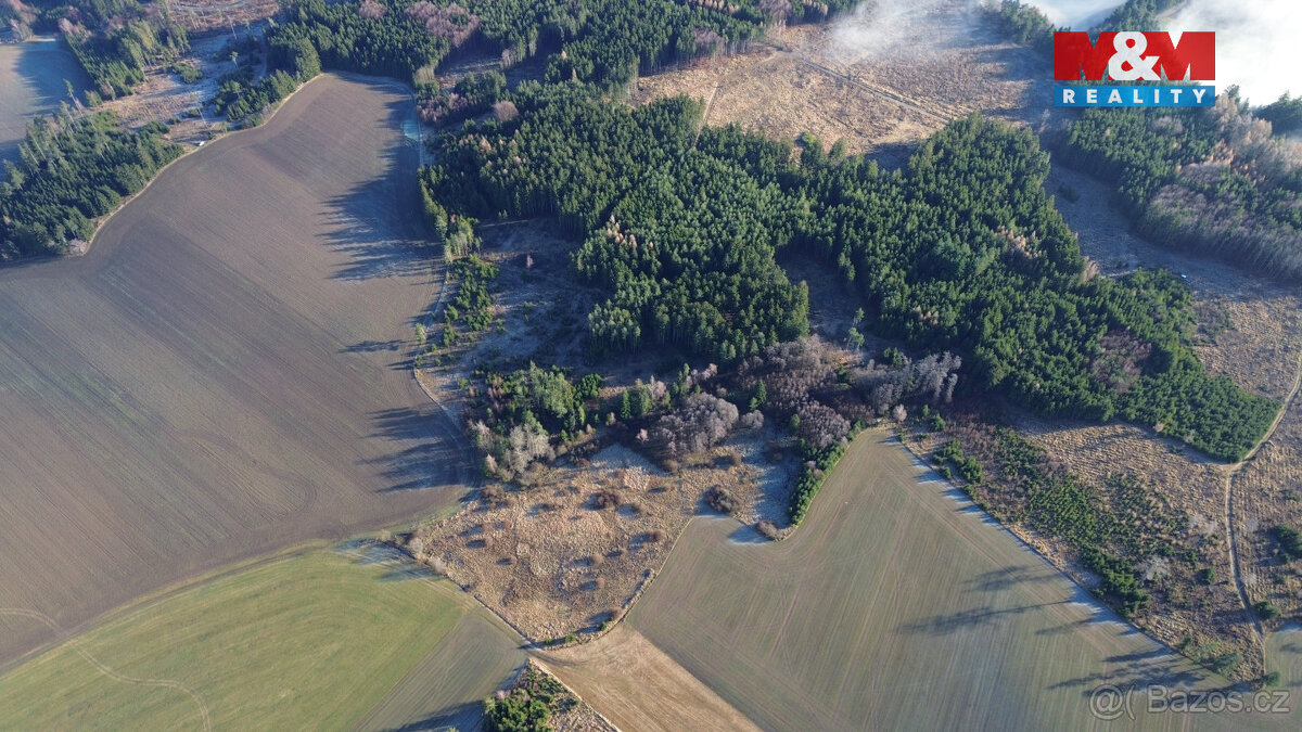 Prodej lesa v Bohdalově - 2