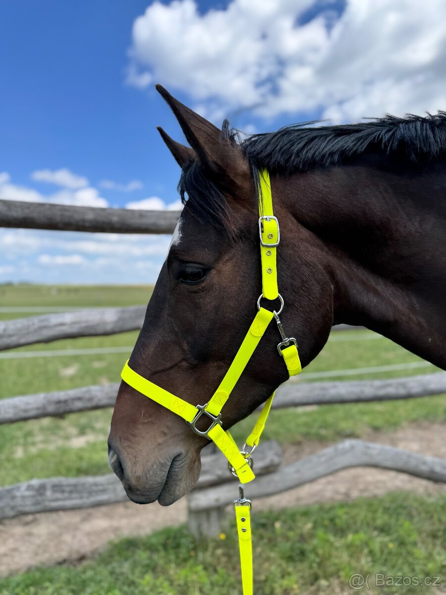 Vodeodolna ohlavka - 2