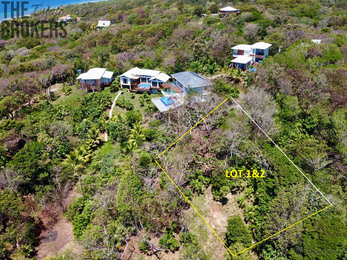Atocha Lot 1&2 -First Bight, Roatan - 2