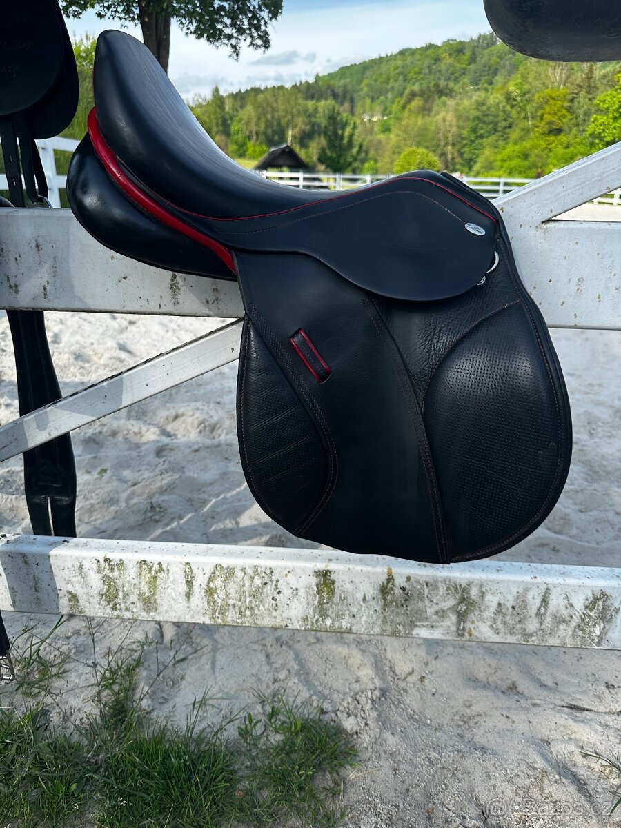 Kentaur young jumper - 2