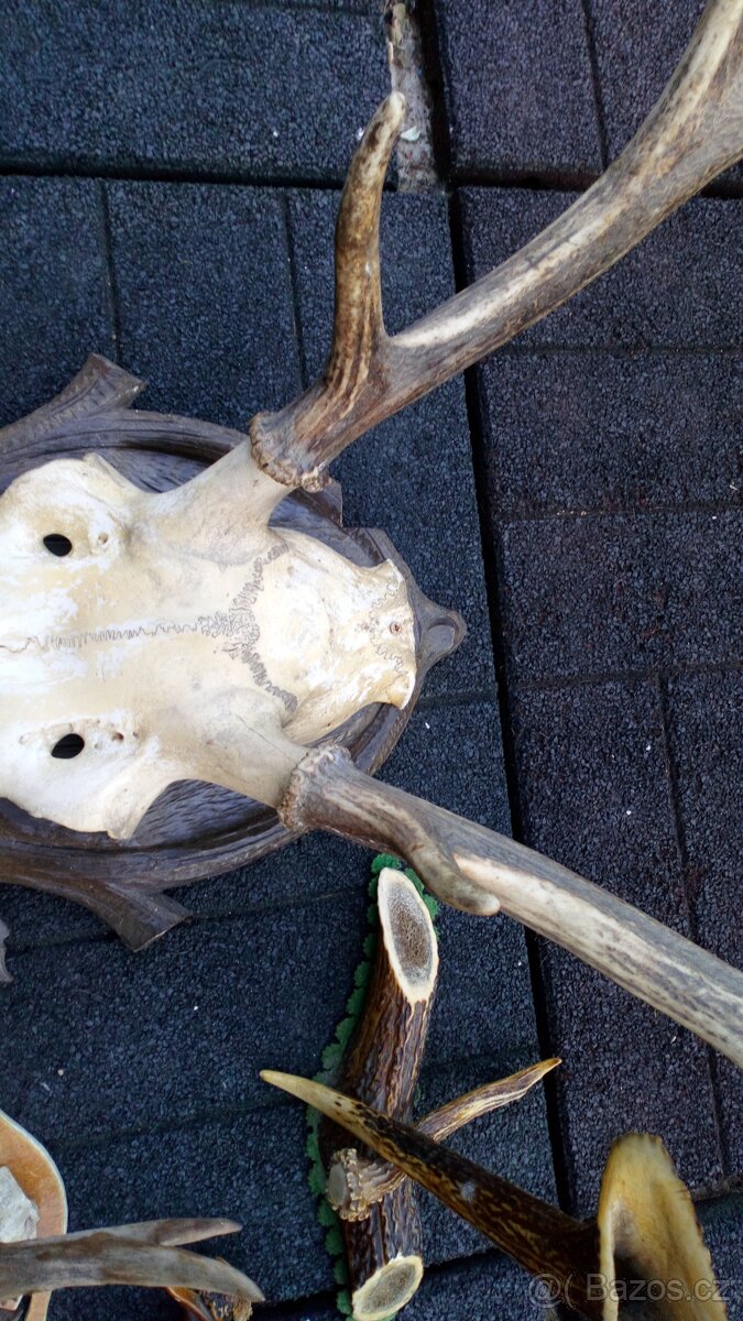 Paroží - 2