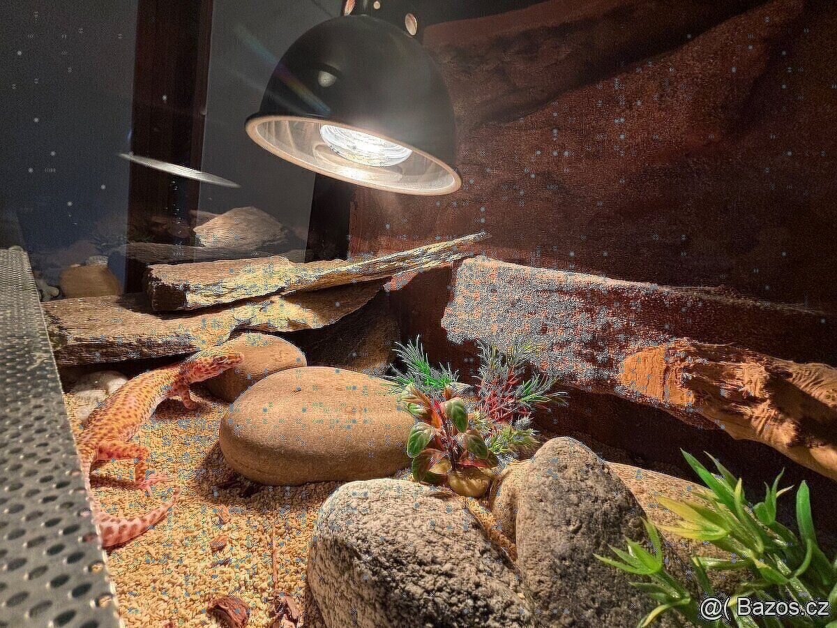 Terárium 120x50x50 s australským pozadím - 2