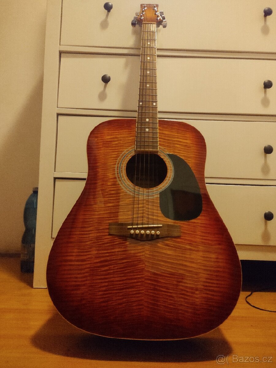 Akustická kytara Martinez - 2