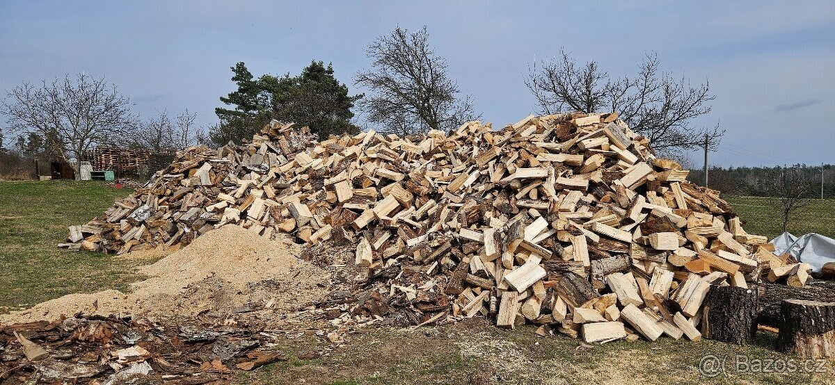 Dřevo - bříza - 2