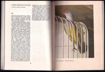 Chováme exotické ptactvo - 2