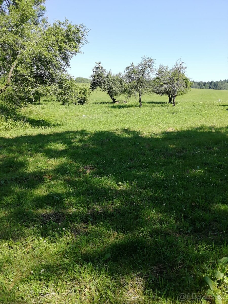 Prodej pozemku Lověšice - 2