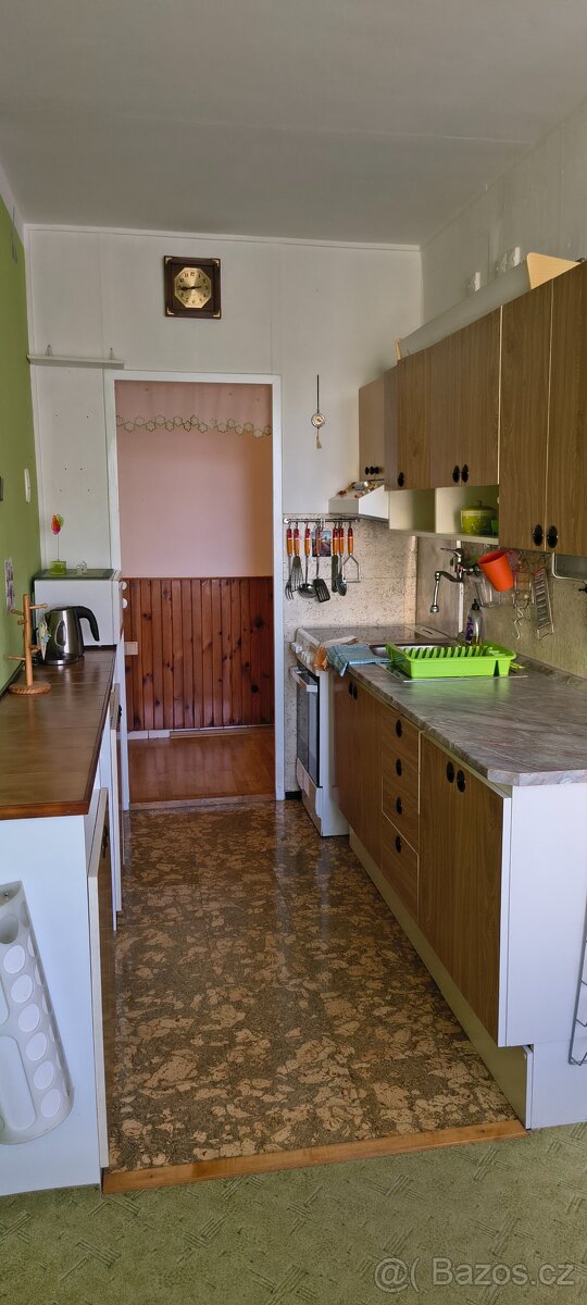 Pronájem bytu 2+1(58m2) - 2