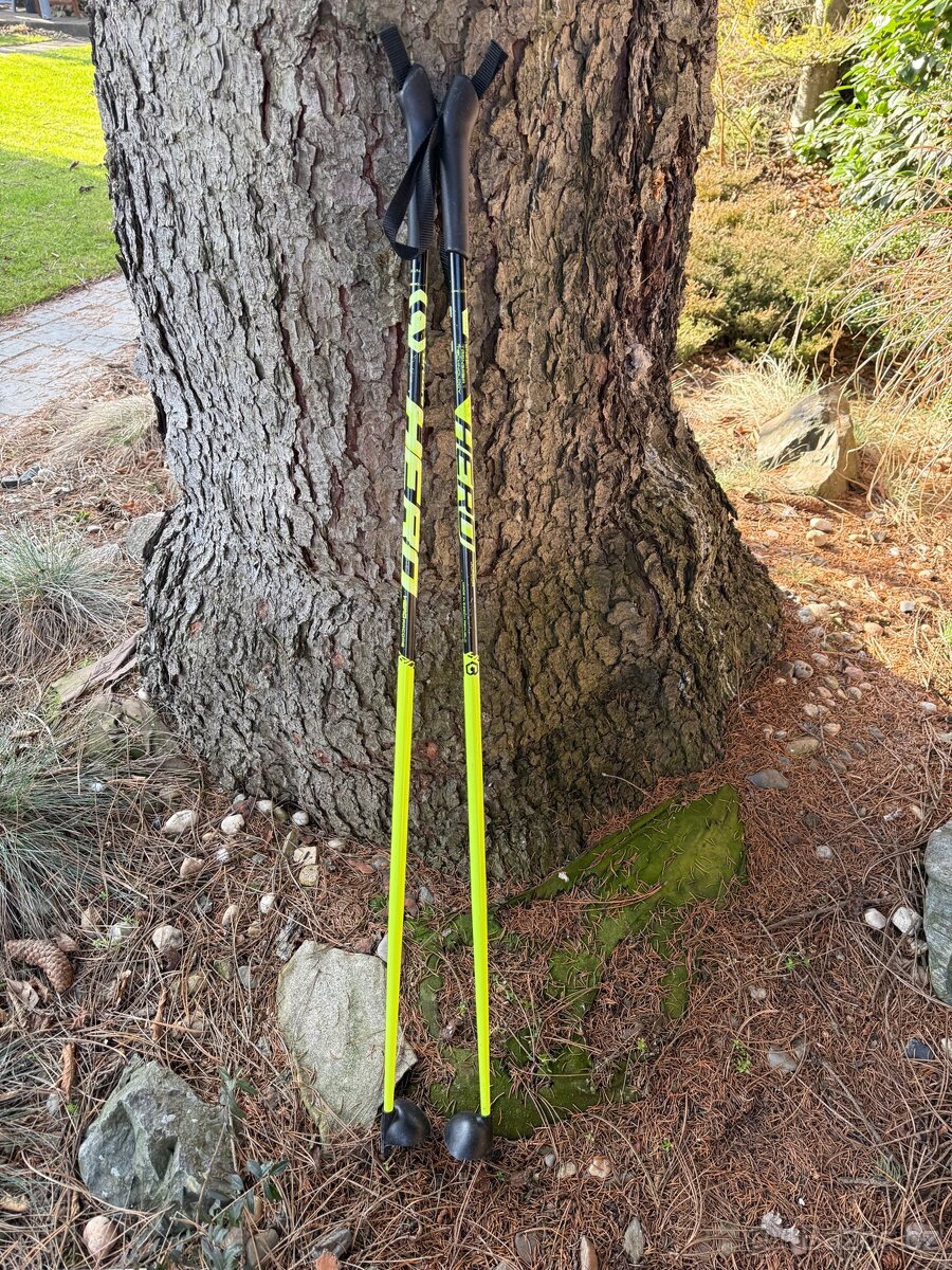 Hůlky na běžky junior vel 110 - 2