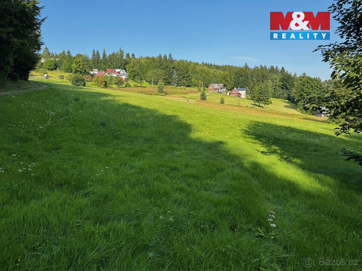 Prodej louky v Kořenově - Rejdice - 2