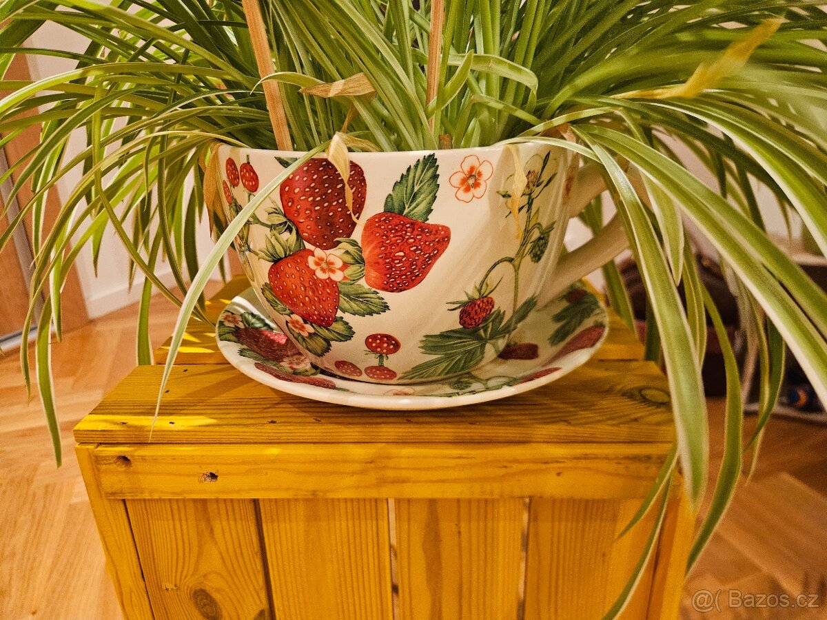 Mix pokojových rostlin včetně okrasných obalů.5kusů - 2