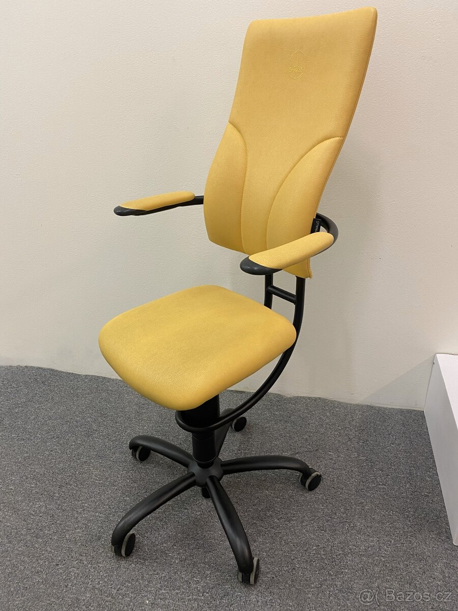 Kancelářská židle Spinalis Apollo (zdravotní) - 2