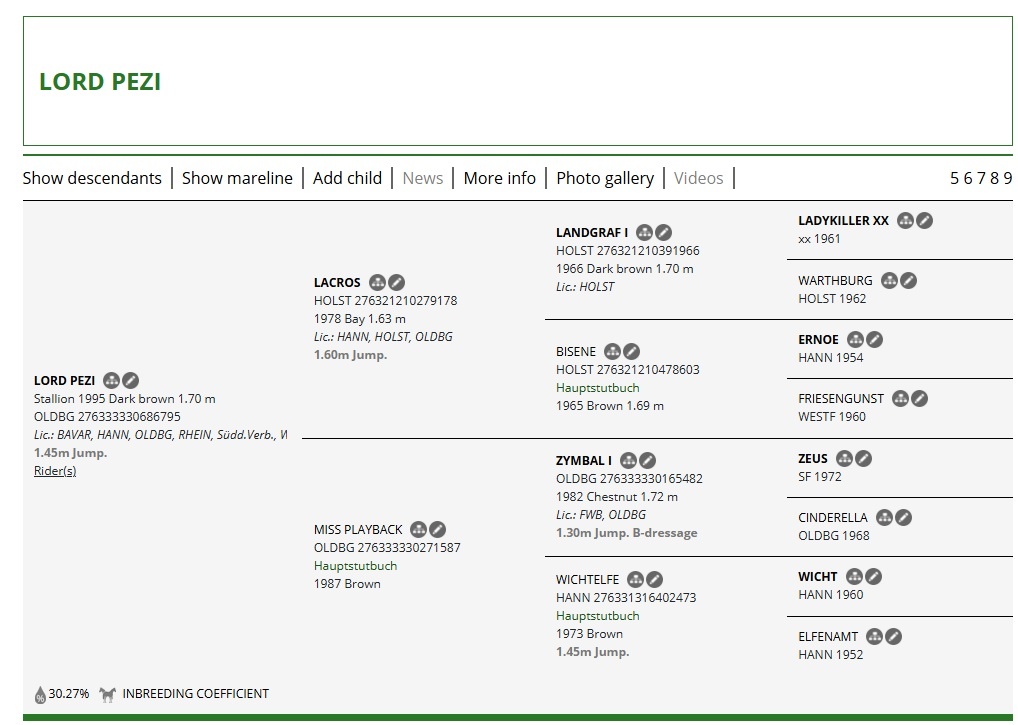 Hannoverská klisna - 2