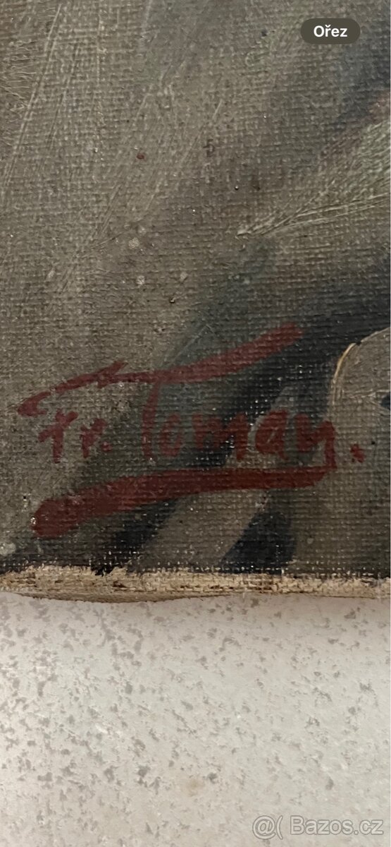 Obraz od Fr. Toman - 2