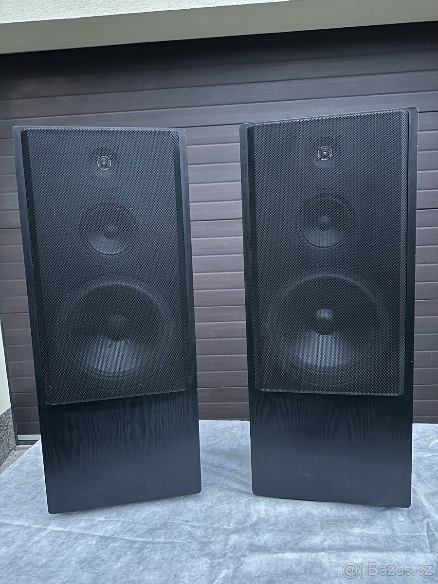 QUADRAL SONOLOGUE STATUS 20 - 2