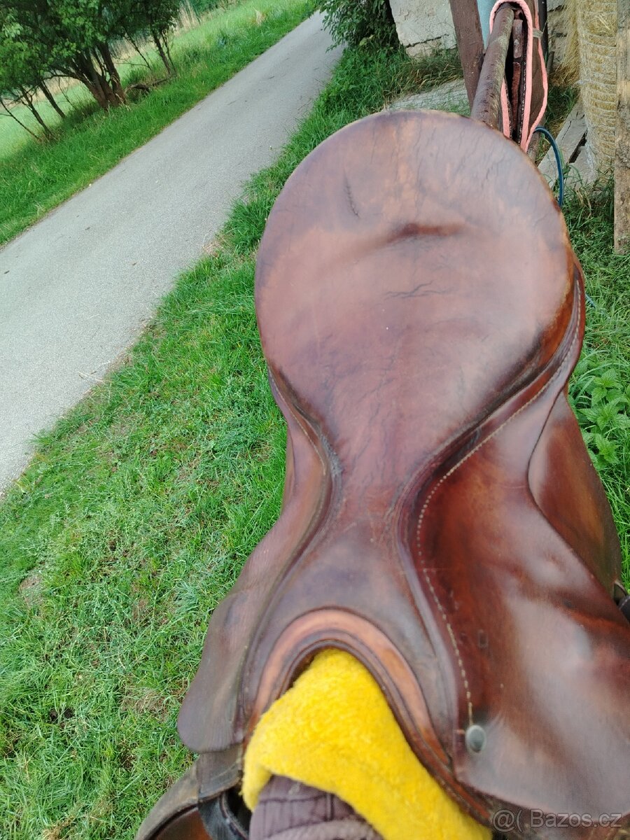 Starší sedlo - 2