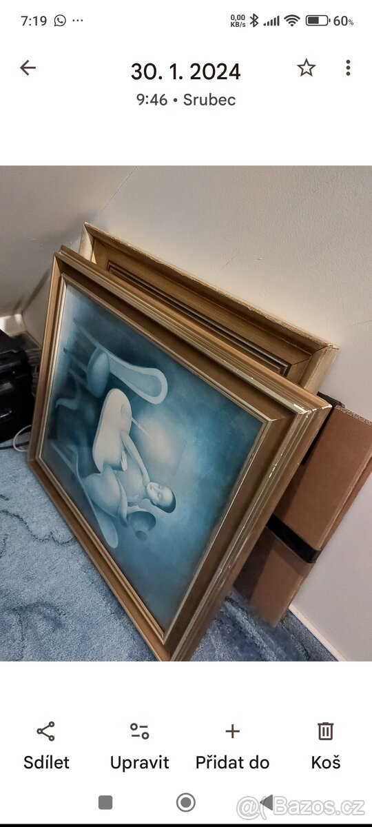 Prodám obrazy - 2