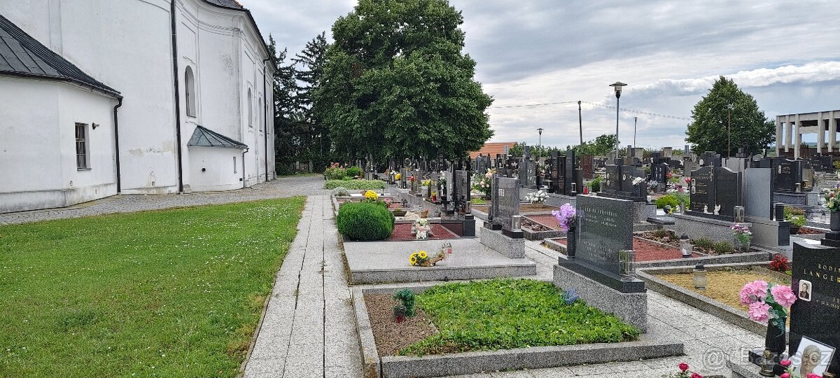 Hrob Bořetice, okres Břeclav - 2