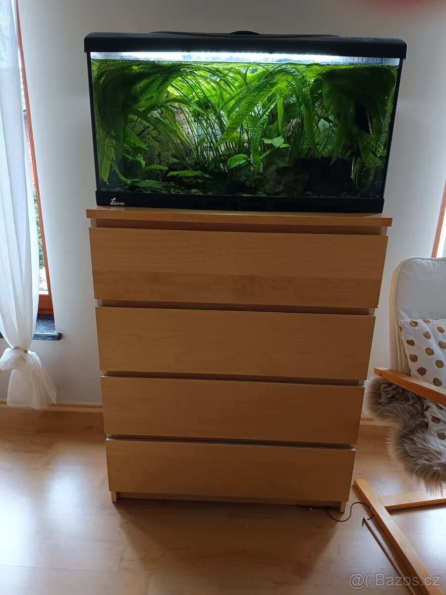 Akvárium 100l - 2