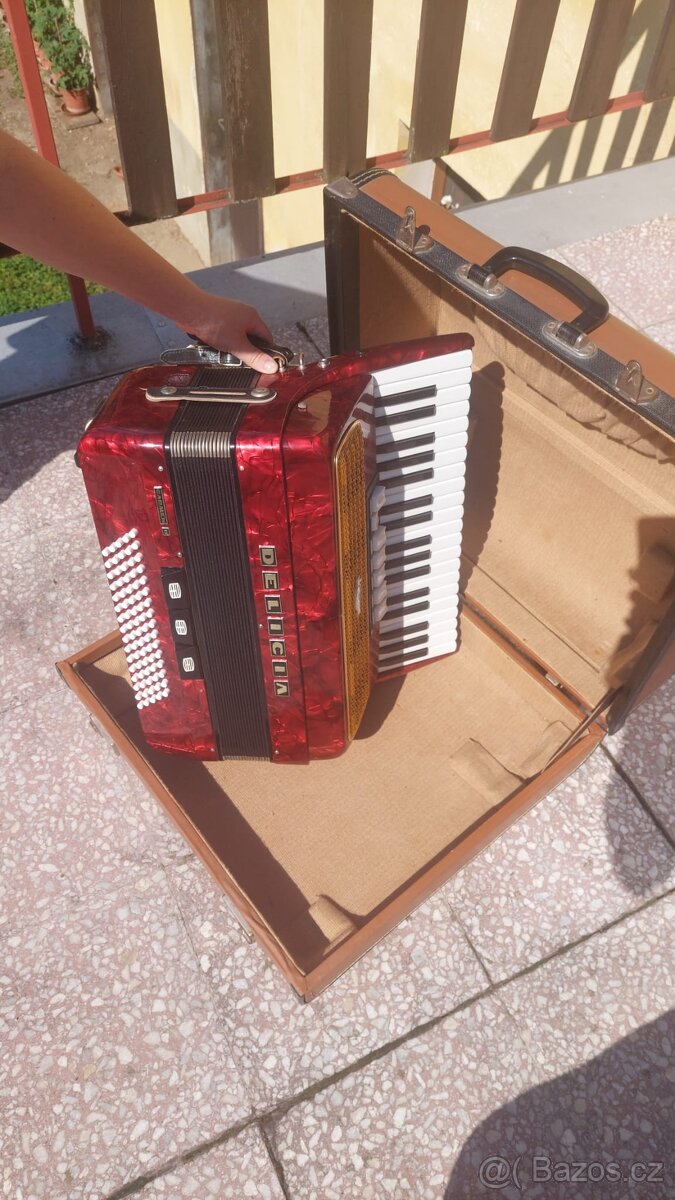 Akordeon Delicia, model carmen - 2