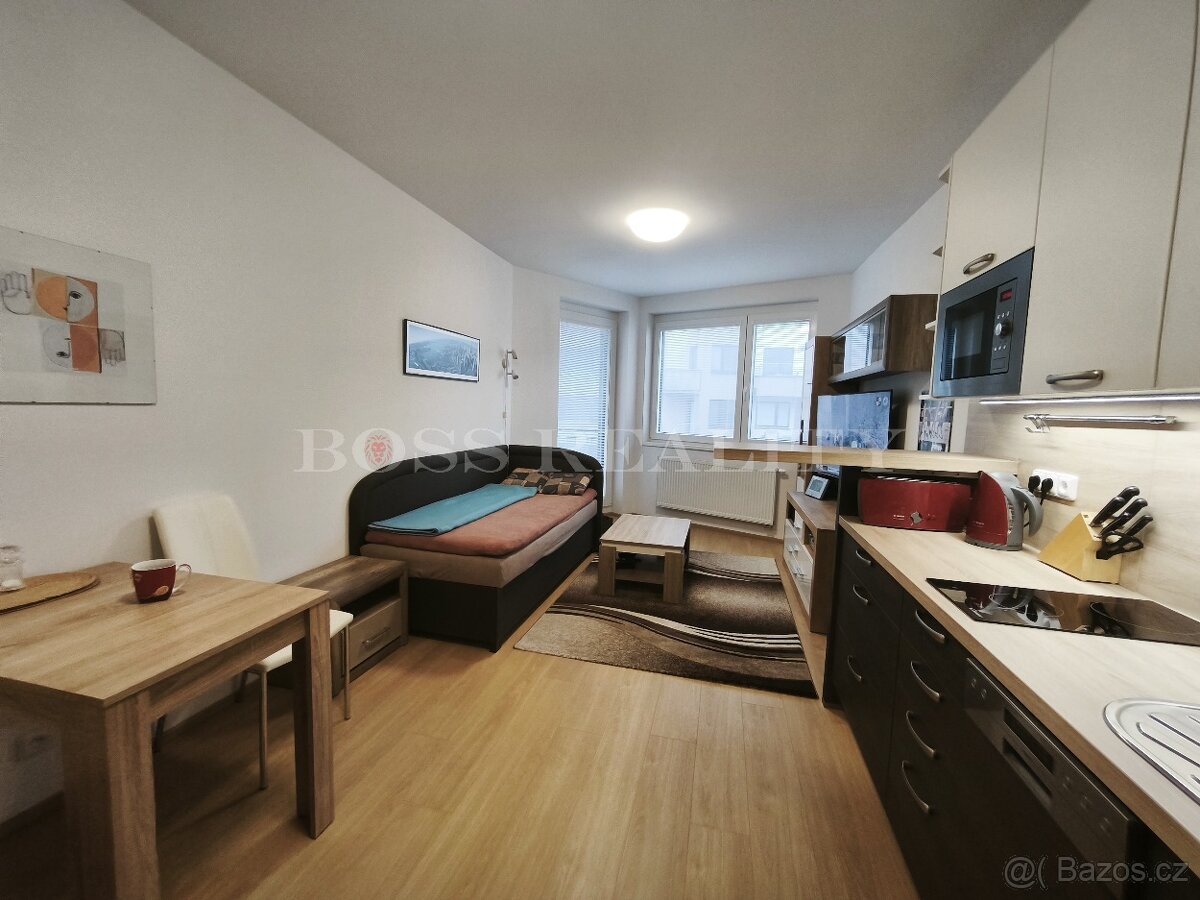 Slunný byt 1+kk s balkónem, sklepem a garážovým stáním - 2