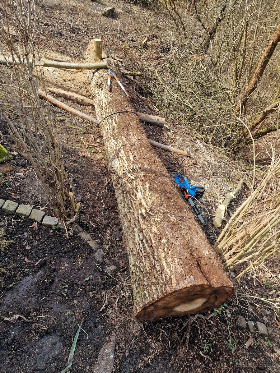 Dřevo ořech vlašský - 2