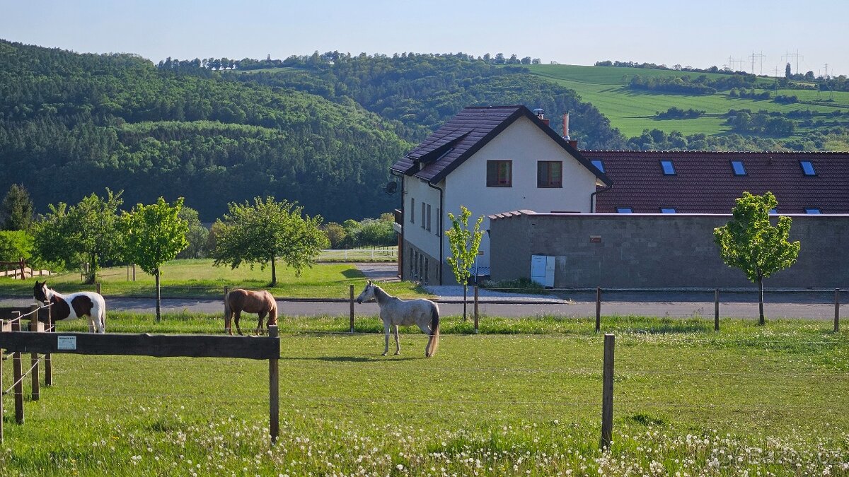 Stájník - 2