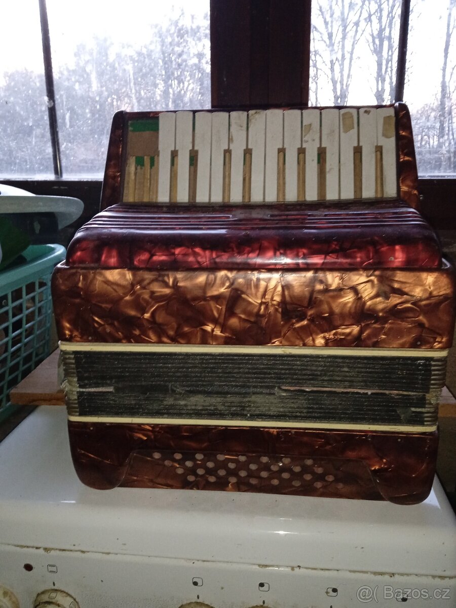 Harmonika, akordeon - 2