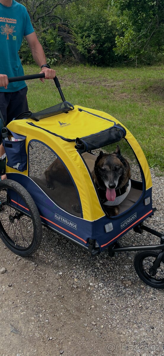 Vozík na psa - 2