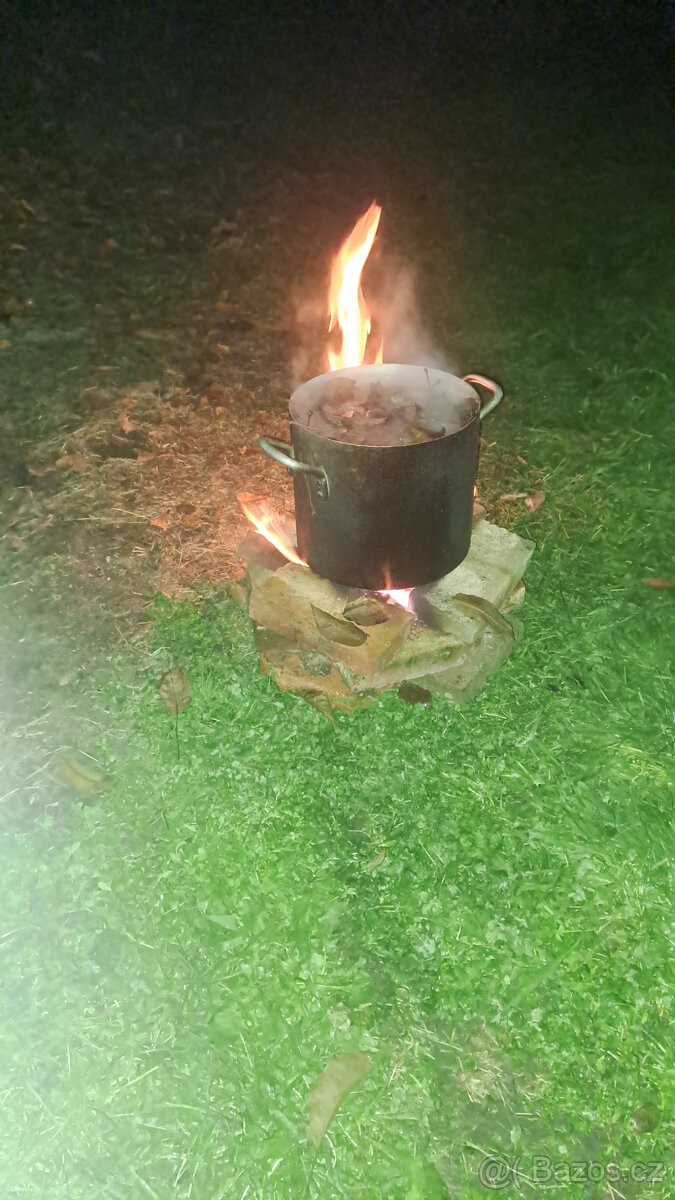 Odvar z listů vlašských ořechů - 2