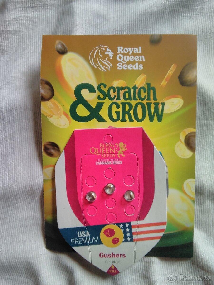 Prodam 3 konopna semena-royalseeds - 2