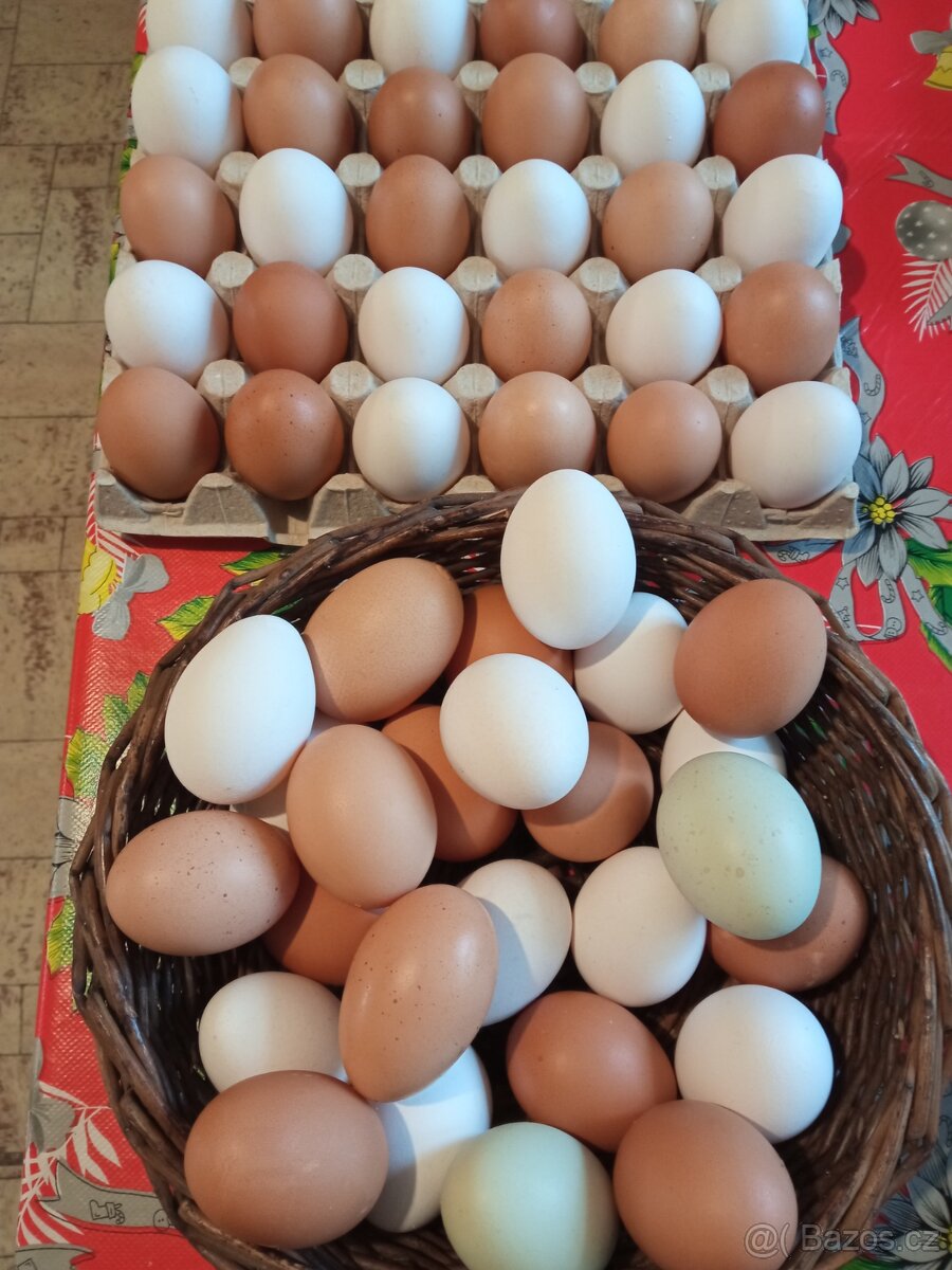 DOMÁCÍ VAJÍČKA - 2