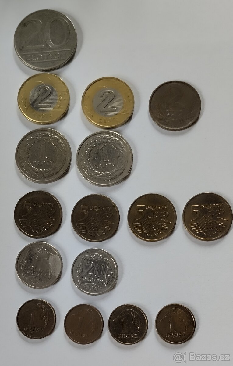 Mince Polsko - 2