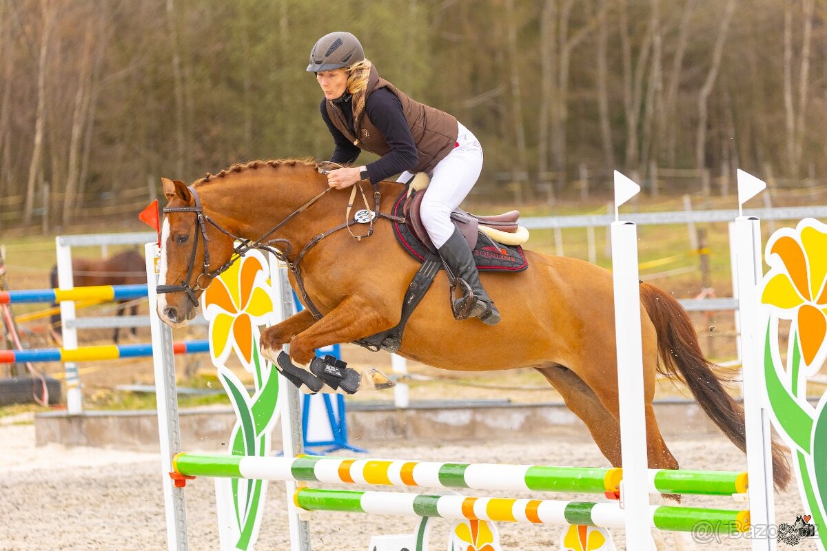 Líbivá ryzka na prodej - 2