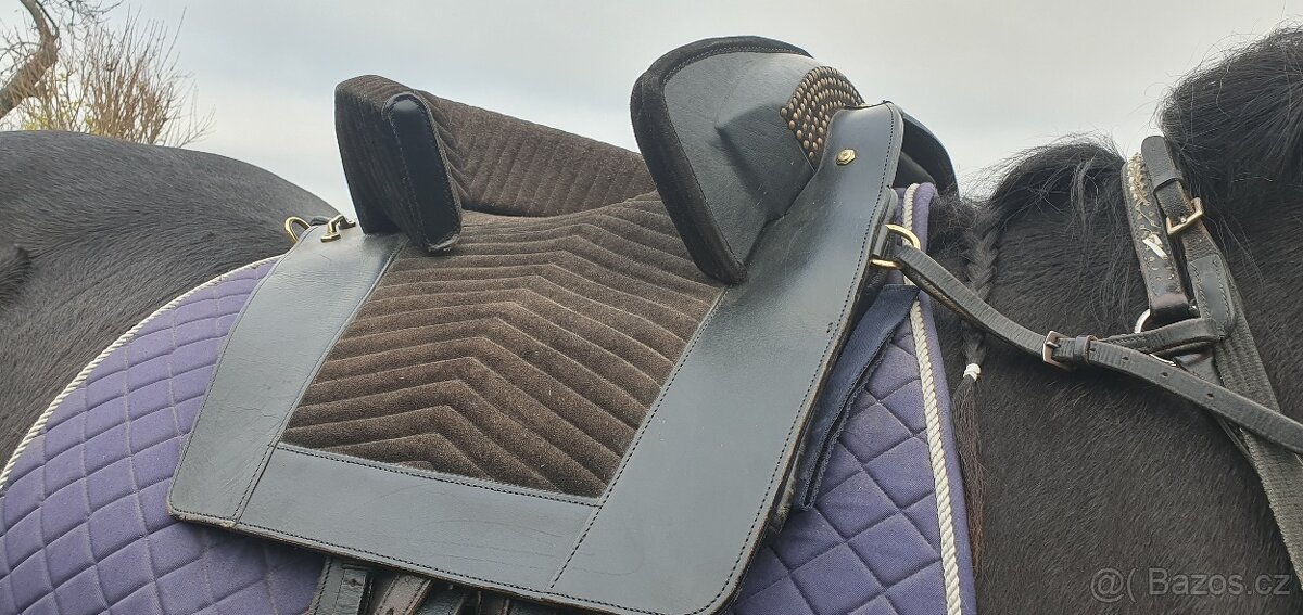 ČERNÉ BAROKNÍ SEDLO - 2