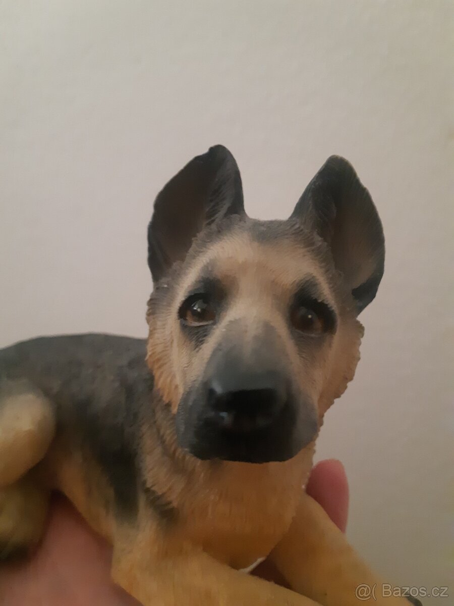 Štěně vlčáka - 2