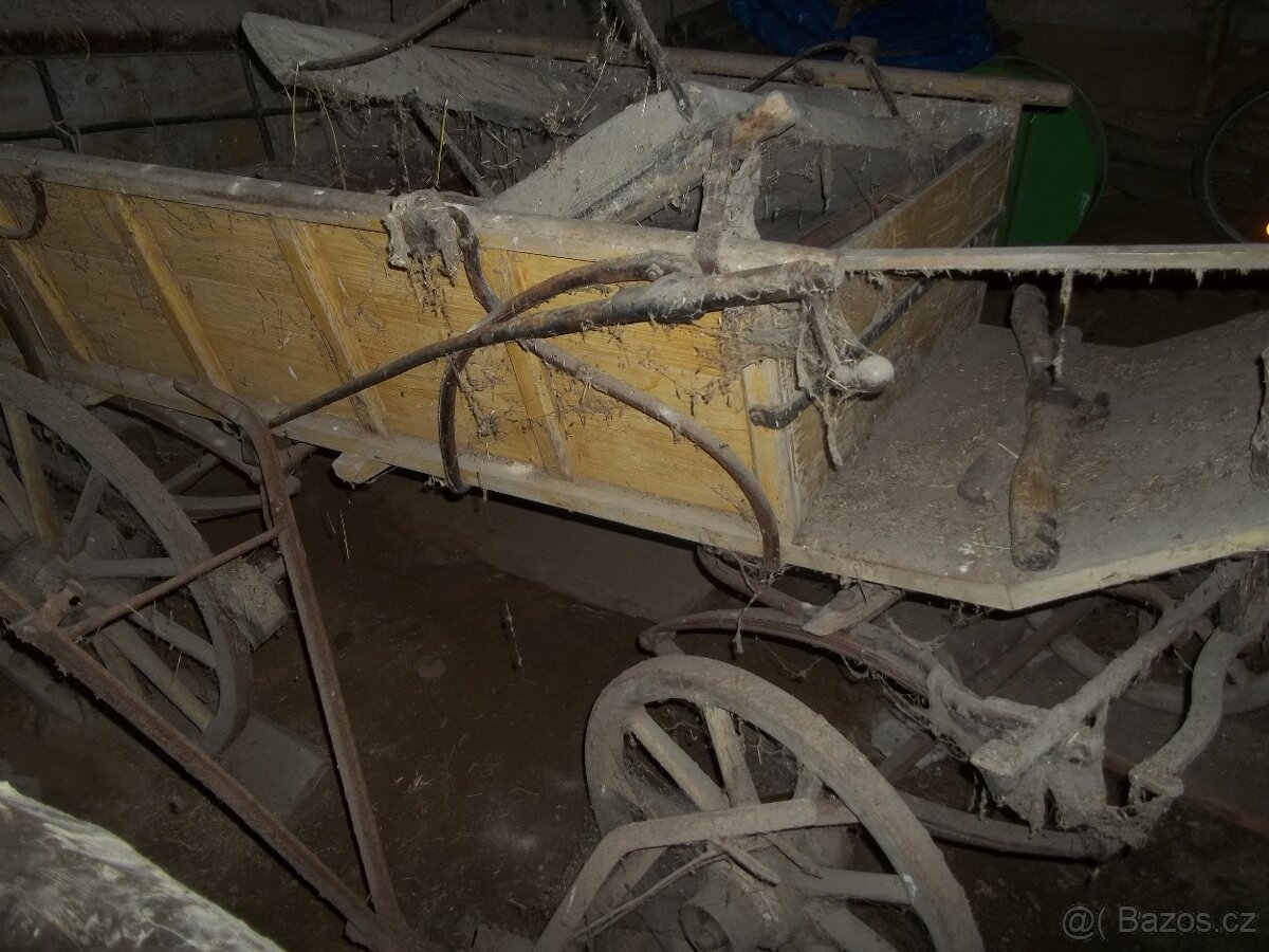 bryčku za Koně - 2