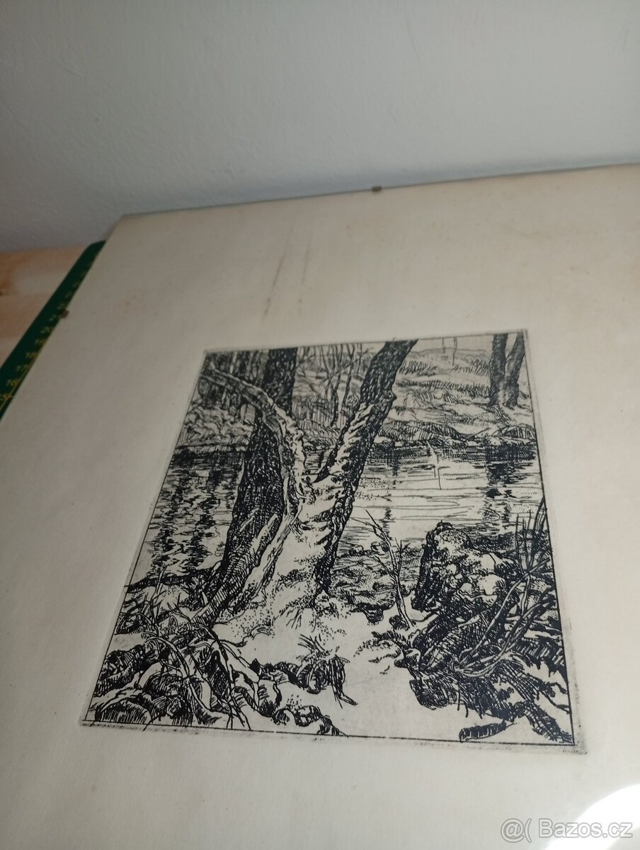 STAROŽITNÝ OBRAZ cca 1920 - 2