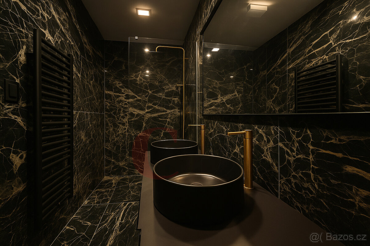 Pronájem bytu 3+KK, Plzeň - 2